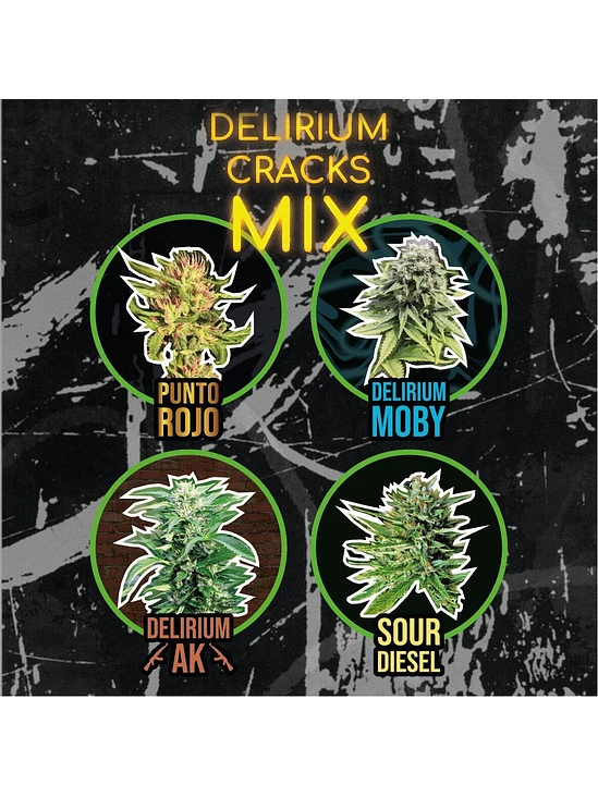 MIX LEYENDAS FAST X8 DELIRIUM SEEDS