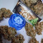 BUDDHA CALAMITY JANE AUTO 3+1 BUDDHA SEEDS