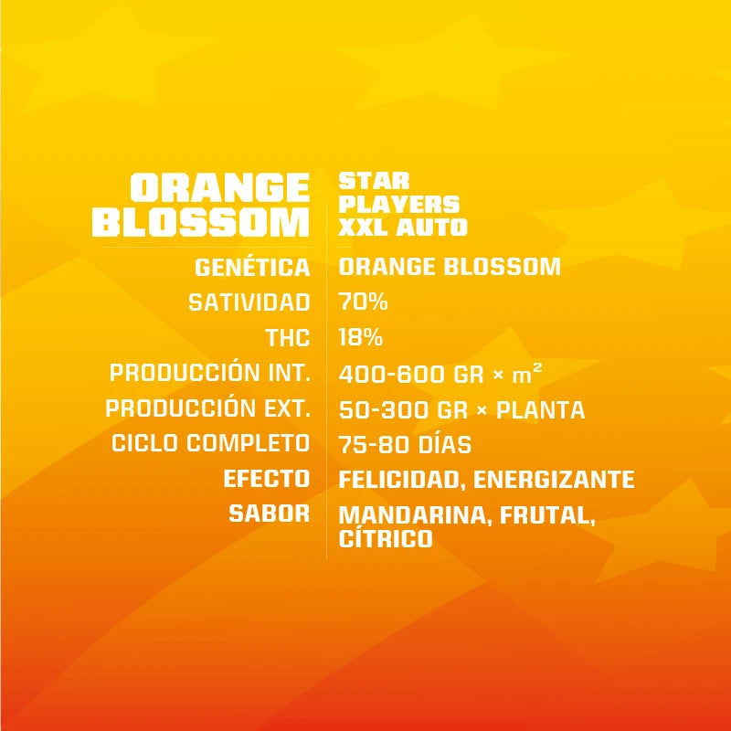 ORANGE BLOSSOM XXL AUTO X12 BSF SEEDS