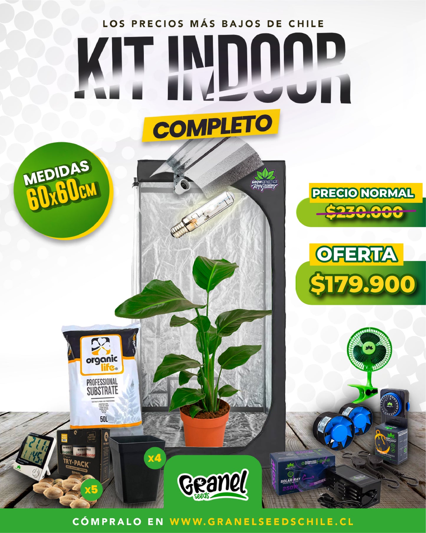 KIT INDOOR 60x60