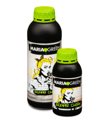 SUGAR CLEAN 1L MARIA GREEN