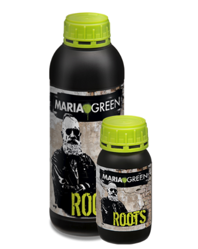 ROOTS 1L MARIA GREEN