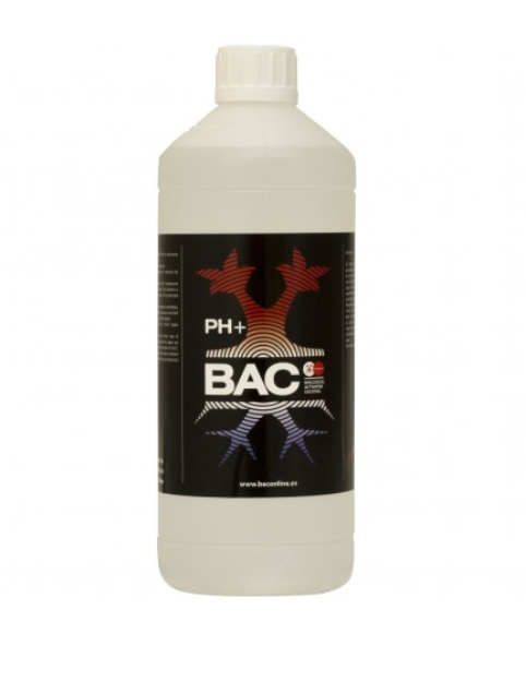 PH+ BAC 1LT