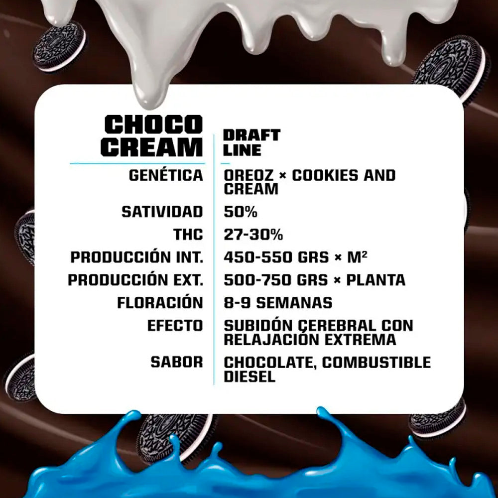 CHOCO CREAM x12 FEM BSF