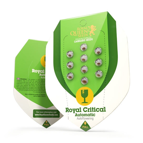 ROYAL CRITICAL AUTO X 10 ROYAL QUEEN SEEDS