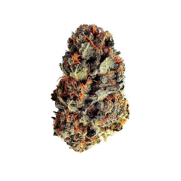DANCE WORLD CBD FEM X1 ROYAL QUEEN SEEDS