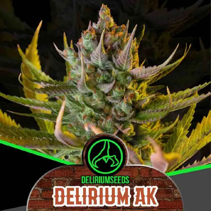 MIX LION BLESS AUTO X14 DELIRIUM SEEDS