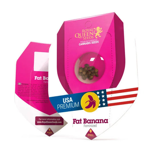 FAT BANANA X10 FEM ROYAL QUEEN SEEDS