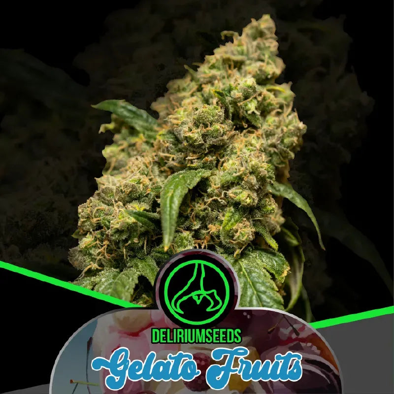 MIX LION BLESS AUTO X14 DELIRIUM SEEDS