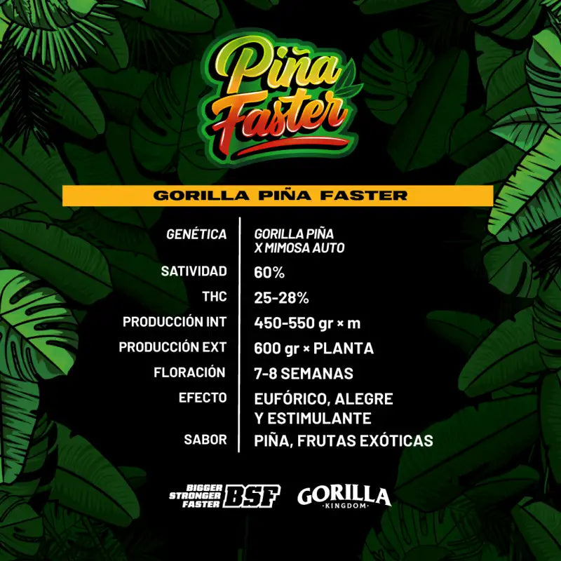 GORILLA PIÑA FASTER X12 BSF