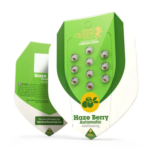 HAZE BERRY AUTO X10 ROYAL QUEEN SEEDS