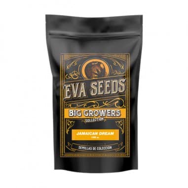 JAMAICAN DREAM X100 FEM EVA SEEDS