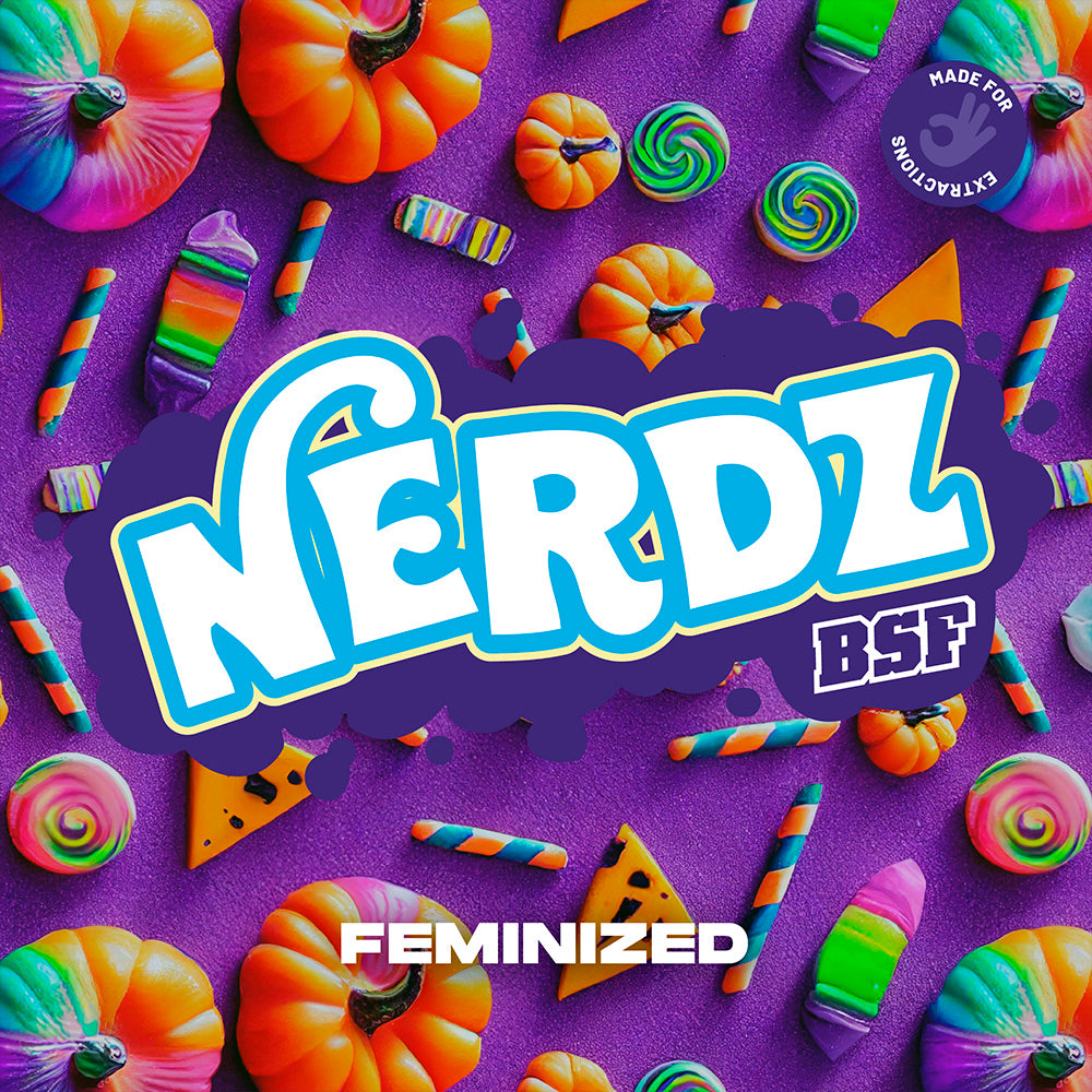 NERDZ x12 FEM BSF