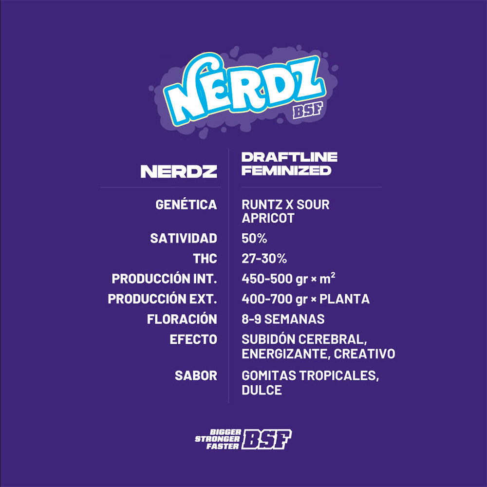 NERDZ x12 FEM BSF