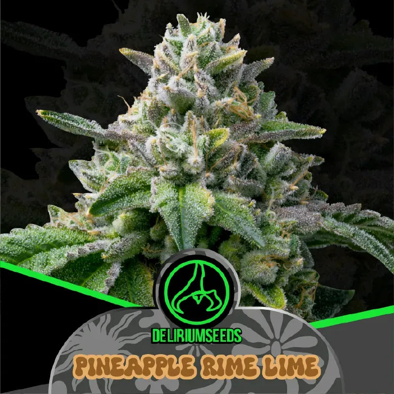 MIX LION BLESS AUTO X14 DELIRIUM SEEDS