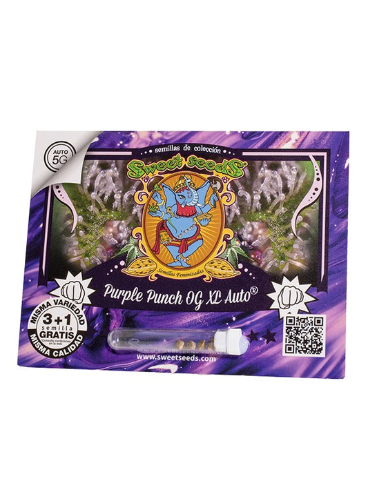 PURPLE PUNCH OG AUTO XL X100 SWEET SEEDS