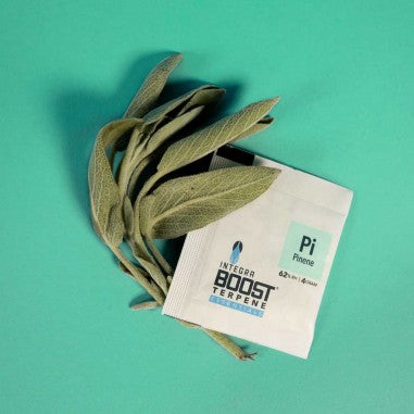 REGULADOR DE HUMEDAD CON TERPENO PINENE 4G 62% INTEGRA BOOST
