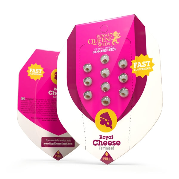 ROYAL CHEESE FAST X10 ROYAL QUEEN SEEDS
