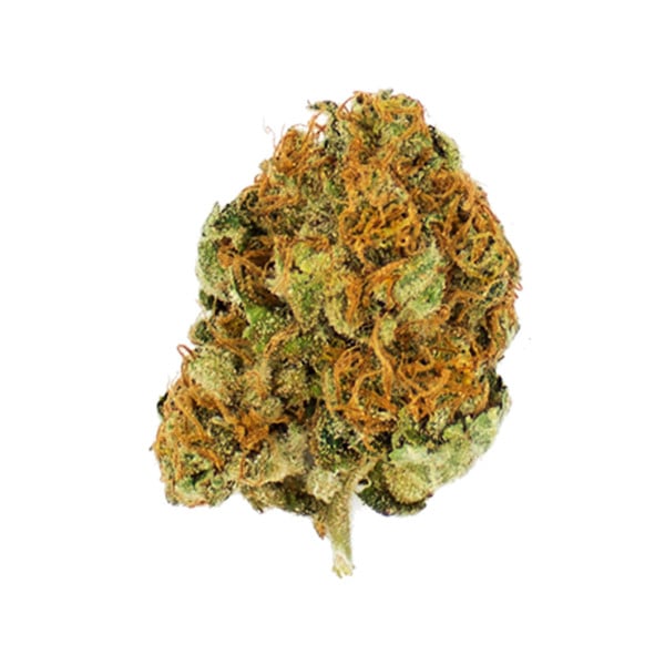 ROYAL MOBY X10 FEM ROYAL QUEEN SEEDS