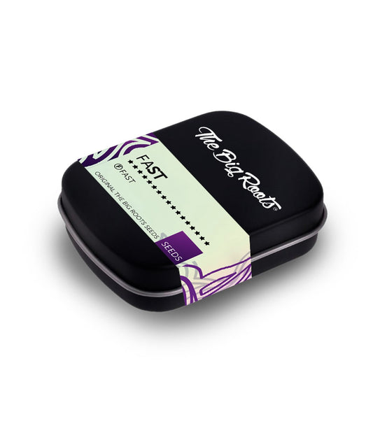 CRITICAL FAST X 3+2 SEMILLAS THE BIG ROOTS