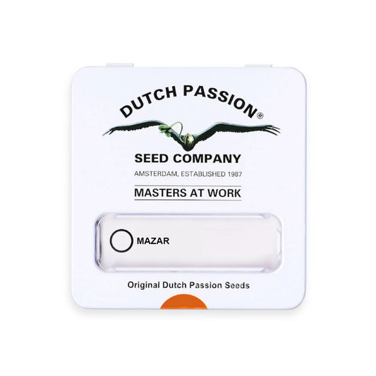 MAZAR FEM X3 DUTCH PASSION DUTCH PASSION