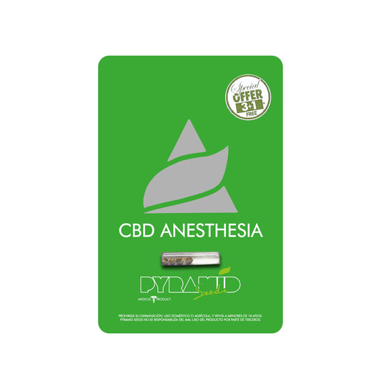 CBD ANESTHESIA X3+1
