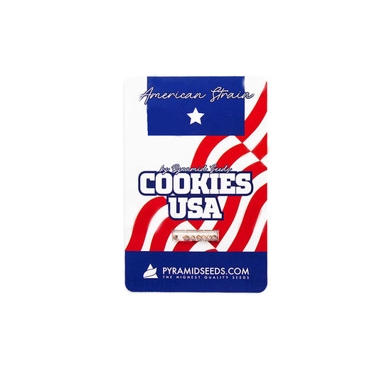 COOKIES USA X3+1 PYRAMID SEEDS