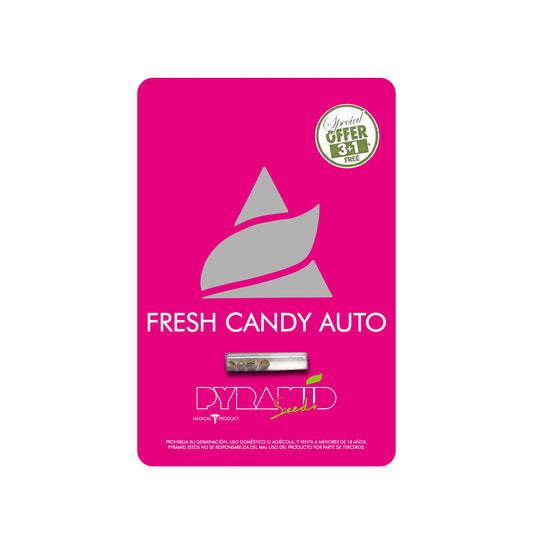 FRESH CANDY AUTO X3+1 PYRAMID SEEDS