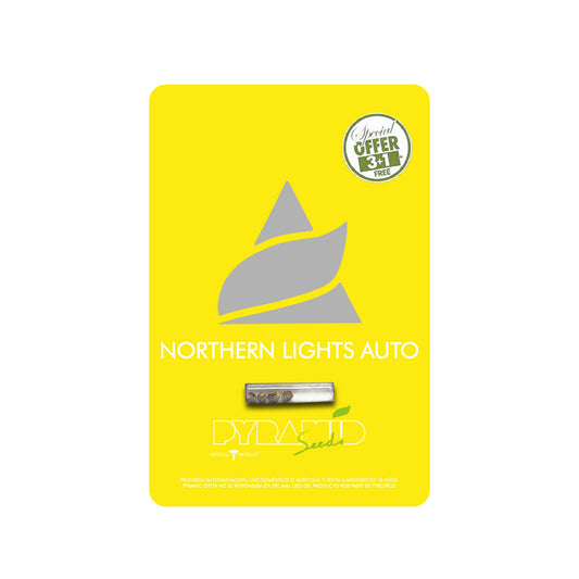 NORTHERN LIGHTS AUTO X3 PYRAMID SEEDS