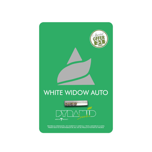 WHITE WIDOW AUTO X3 PYRAMID SEEDS