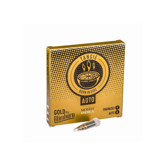 TANGIE AUTO X3 BLIMBURN