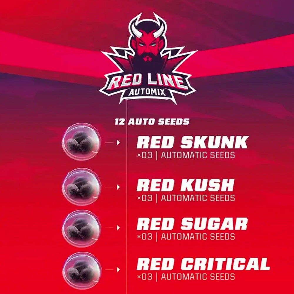 RED LINE AUTOMIX X12 BSF