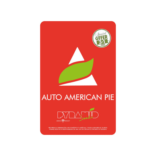 AMERICAN PIE AUTO X1 PYRAMID SEEDS