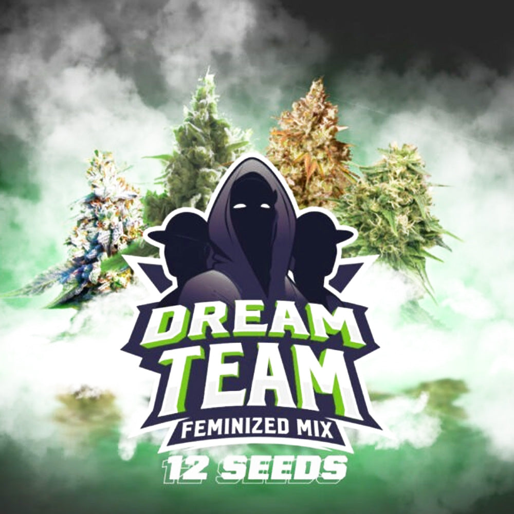 DREAM TEAM X12