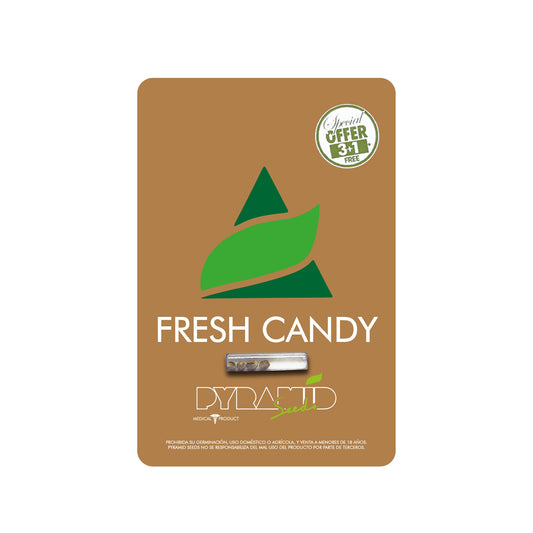 FRESH CANDY X3