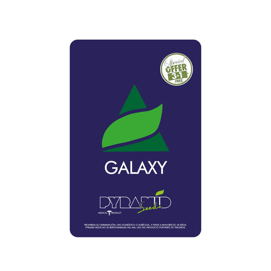 GALAXY X1 PYRAMID SEEDS
