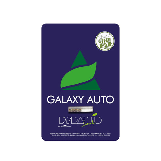 GALAXY AUTO X3 PYRAMID SEEDS