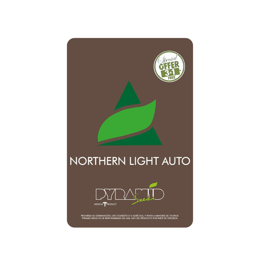 NORTHERN LIGHT AUTO X1 PYRAMID SEEDS