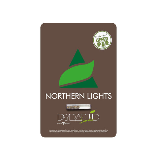 NORTHERN LIGHTS X3