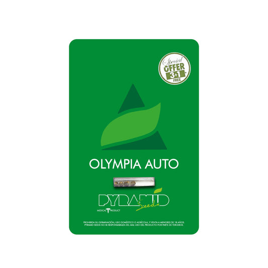 OLYMPIA AUTO X3 PYRAMID SEEDS