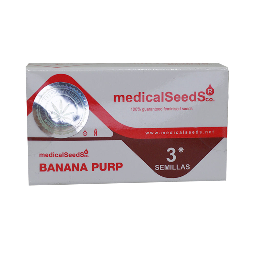 BANANA PURP X3 MEDICAL SEEDS