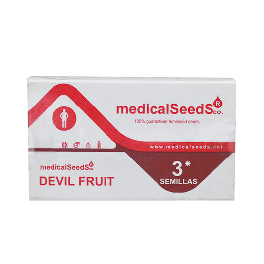 DEVIL FRUIT X3 MEDICAL SEEDS