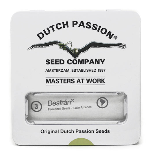 AUTO DESFRAN x3 DUTCH PASSION