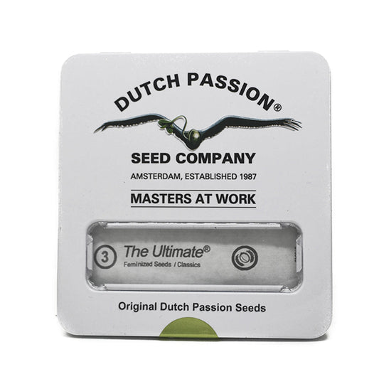 THE ULTIMATE x3 AUTO DUTCH PASSION