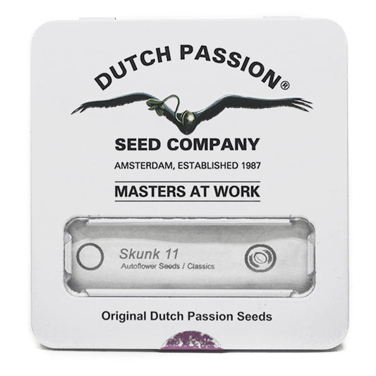 SKUNK #11 DUTCH PASSION