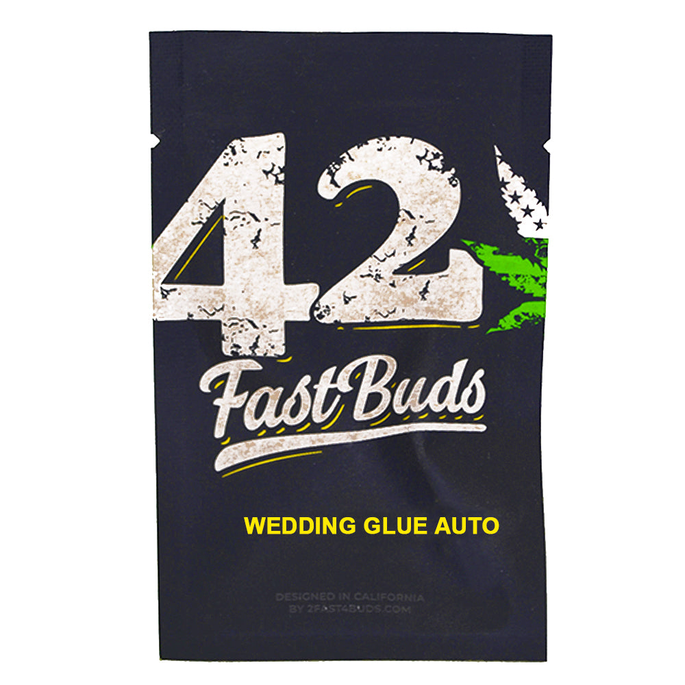 WEDDING GLUE AUTO X1 FAST BUDS
