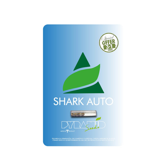 SHARK AUTO X3 PYRAMID SEEDS